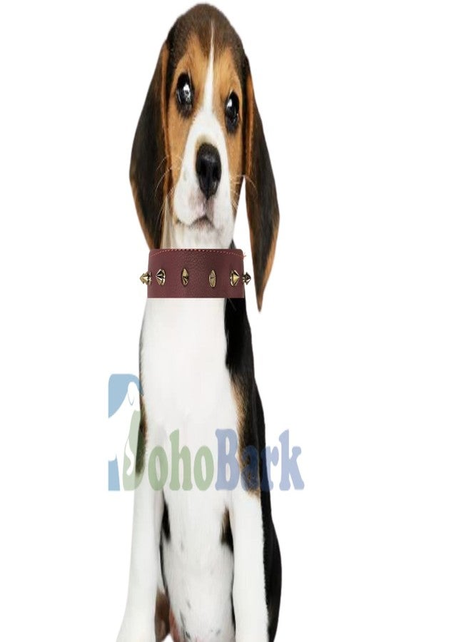 BohoBark Leather Single Spike Pu Dog Collar Belt, Medium, Brown - Image 4